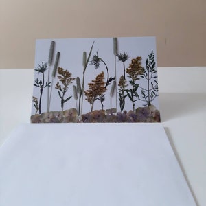 Cartes de fleurs, fleurs d'art pressées, impression d'art de fleurs pressées, herbier, cartes d'impression de fleurs séchées, fleurs pressées, cartes de fleurs