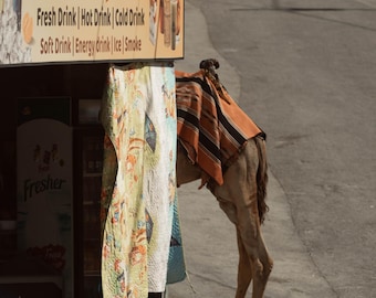 Camel Jericho Street Scene Print | Middle East Travel Photography (Digital Download)