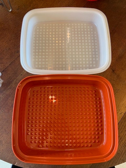 Vintage Tupperware Large Meat Marinade Container 2 Piece Paprika #1294-5  w/Lid