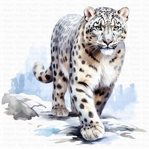 Puede incluir: Una pintura de acuarela de un leopardo de las nieves caminando por una montaña nevada. El leopardo es blanco con manchas negras y tiene una cola larga. El fondo es una acuarela de color azul claro.