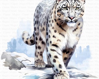 Imágenes prediseñadas de leopardo de las nieves / Arte infantil, creación de tarjetas (descarga digital)