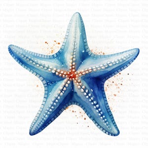 Clipart de estrela do mar | 5 JPGs de alta qualidade | Download digital | Pintura em aquarela | Arte de berçário | Criação de cartões | Estampa Estrela do Mar | Artesanato em papel