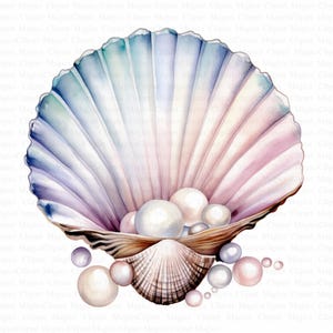 Sea Shells Pearls Clipart | 5 High Quality JPGs | Digital Download | Seashell Clipart | Printable Watercolor Clipart | Paper Craft | Clipart