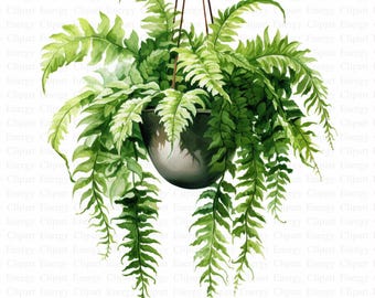 Imágenes prediseñadas de helechos colgantes / Planta en maceta en acuarela (descarga digital)