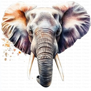 Elephant Clipart | 5 High Quality JPGs | Digital Download | Cute Elephant | Animal Clipart | Cartoon Elephant Clipart | Elephant Images