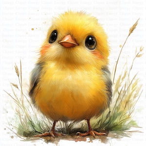 Clipart de pintinho fofo | 5 JPGs de alta qualidade | Download digital | Arte de berçário | Criação de cartões | Clipe | Artesanato em papel digital, pintura em aquarela