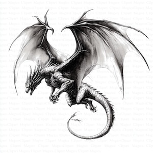 May include: A black and white drawing of a dragon with its wings spread wide. The dragon is in mid-air with its tail curled around its body. The dragon's head is turned to the side and its eyes are closed.