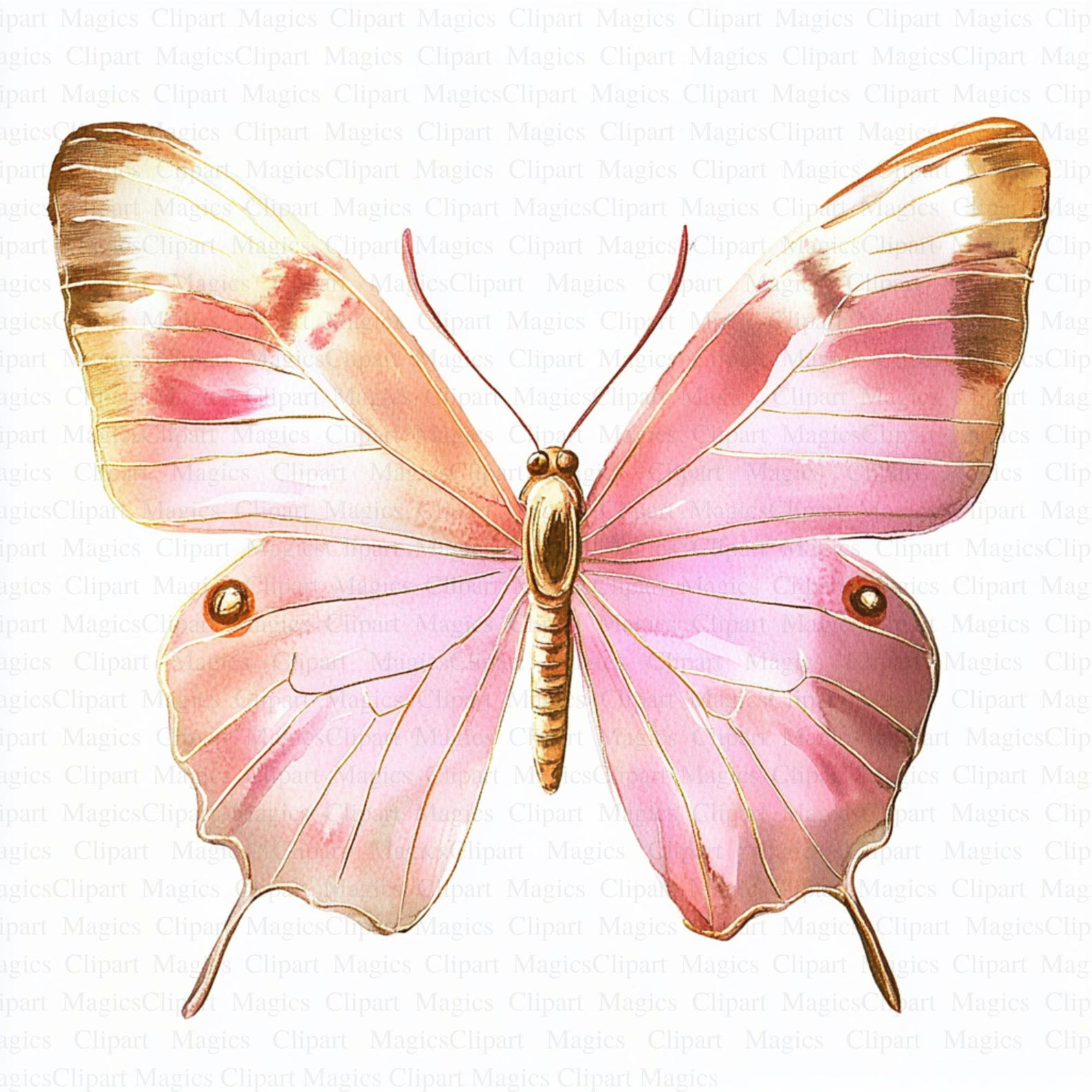 Pink Golden Butterfly Clipart 5 High Quality Jpgs Digital Download Clip ...