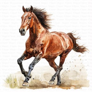 Watercolor Galloping Horses Clipart | 5 High Quality JPGs | Instant Digital Download | Card Making | Digital Paper Craft | Farmyard Clipart