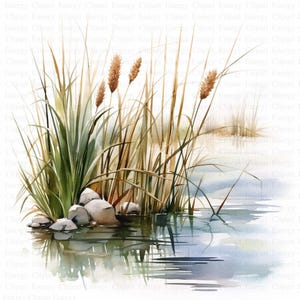 May include: Watercolor painting of a marsh scene with tall green reeds and brown cattails growing along the edge of a still body of water. The water reflects the sky and the reeds.