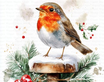 Imágenes prediseñadas de petirrojos navideños en acuarela / Scrapbooking navideño (descarga digital)