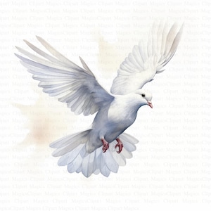 Witte duif clipart | 5 JPG's van hoge kwaliteit | Digitaal downloaden | Vredesduif | Afdrukbare aquarel clipart | Papiermodellen | Ongewenste tijdschriften | Kunst