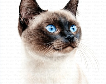Siamese kat clipart | 5 JPG's, kinderkamerkunst (digitale download)