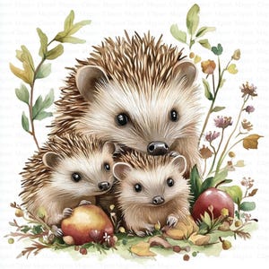 Clipart de família de ouriço | 5 JPGs de alta qualidade | Download Digital | Clipart de ouriço | Clipart aquarela para impressão | Artesanato de papel | Arte de parede