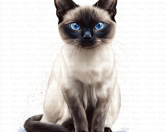 Siamese kat clipart | Hoogwaardige jpg's, kinderkunst (digitale download)