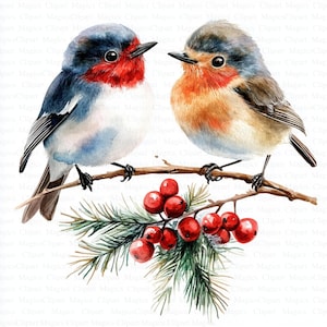 Various Christmas Birds Clipart | Robin | 5 High Quality JPGs | Digital Download  | Printable Watercolor Clipart | Paper Craft | Wall Art