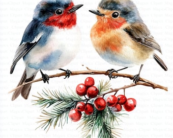Imágenes prediseñadas de pájaros navideños / Ilustraciones de petirrojos en acuarela (descarga digital)