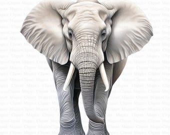 Elephant Watercolor Clipart | 5 High-Quality JPGs (Digital Download)
