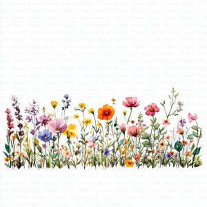 Clipart de borda de flores silvestres | 5 JPGs de alta qualidade | DigitalBaixar | Clipart aquarela |  Artesanato de papel | Diários indesejados | Álbum de recortes | Arte