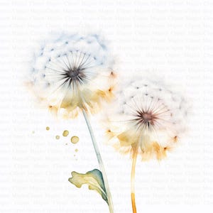 Dandelion Clipart | 5 High Quality JPGs | Digital Download | Scrapbooking | Botanical Dandelion | Printable Watercolor Clipart | Paper Craft
