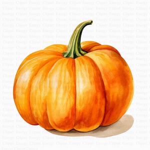 May include: A watercolor painting of a single orange pumpkin with a green stem. The pumpkin is sitting on a white background.
