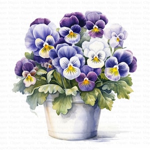 May include: A white ceramic pot filled with a bouquet of purple, white, and blue pansies. The pansies are in full bloom and have yellow centers.