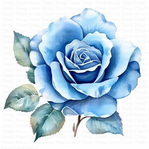 Clipart di rosa blu | 5 JPG di alta qualità | Download digitale | Album di ritagli | Tecnica mista | Creazione di biglietti | Artigianato digitale in carta | Arte botanica