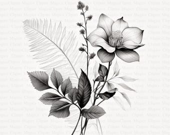 Botanical Art Clipart | Floral Illustrations (Digital Download)