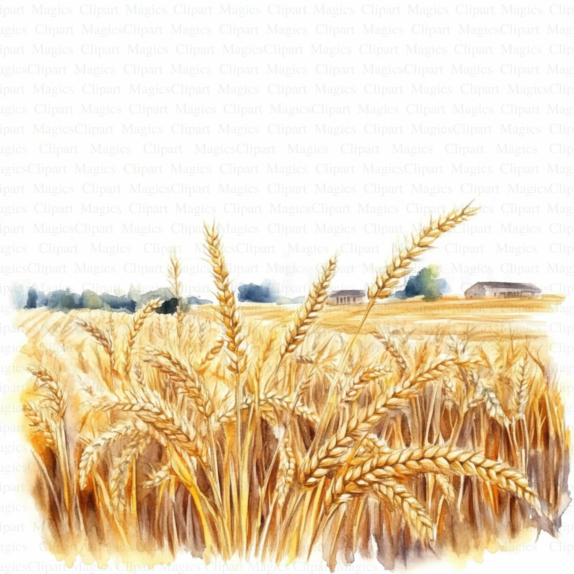 Watercolor Wheat Field Clipart | Rustic Art Prints (digital Download ...