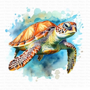 Sea Turtle Clipart | 5 High Quality JPGs | Digital Download | Turtle Vector | Sea Clipart | Sea Turtle Images, Ocean Clipart, Turtle Graphic