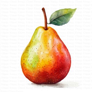 Clipart di pere | 5 JPG di alta qualità | Download digitale | Pittura ad acquerello | Arte per bambini | Immagine clipart | Creazione di biglietti | Artigianato di carta digitale
