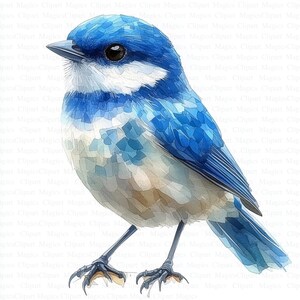 Mésange bleue des cliparts | 5 fichiers JPG de haute qualité | Téléchargement numérique | Art mural | Mésange bleue d'Eurasie | Clipart aquarelle imprimable | Créations en papier