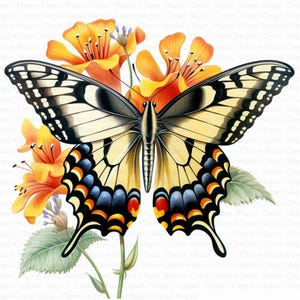 Swallowtail Butterflies Clipart | 5 High Quality JPGs | Digital Download | Card Making | Nursery Art | Digital Paper Craft | Scrapbooking