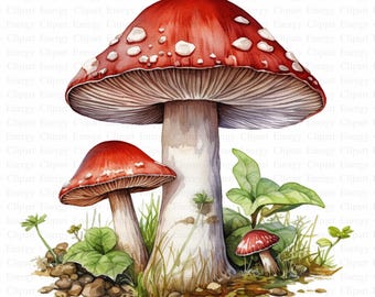 Mushroom Clipart | Autumn Art, Watercolor Style (Digital Download)