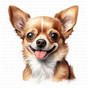 Chihuahua-Clipart | 5 hochwertige JPGs | Digitaler Download | Kartenherstellung | Niedliche Tier-Cliparts | Papierbasteln | Kinderzimmerkunst | Scrapbooking