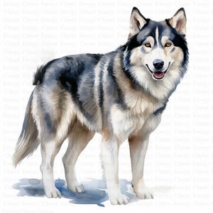 Portrait Husky Clipart | 5 fichiers JPG de haute qualité | Téléchargement numérique | Art pour chambre d'enfant | Scrapbooking | Fabrication de cartes | Clipart chien mignon | Créations en papier