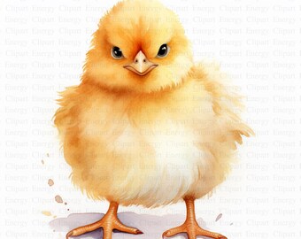 Watercolor Chick Clipart | Nursery Art, Card Making (Digital Download)