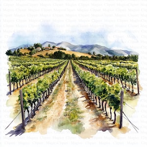 Clipart del vigneto | 5 JPG di alta qualità | Download digitale | Creazione di biglietti | Tecnica mista | Artigianato digitale in carta | Arte ad acquerello | Album di ritagli
