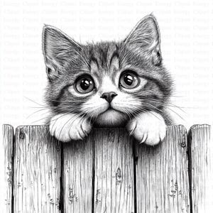 Chats sur la clôture des cliparts | 5 fichiers JPG de haute qualité | Téléchargement numérique instantané | Scrapbooking | Fabrication de cartes | Clipart de basse-cour | Créations numériques en papier