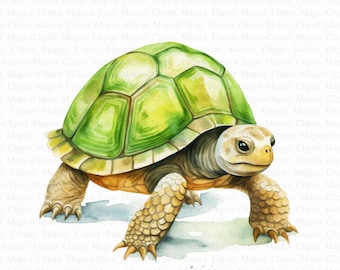Schildkröte Clipart | "Aquarell ""Kinderzimmer Deko"" (Digitaler Download)"