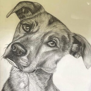 Handmade Charcoal Pet Portrait