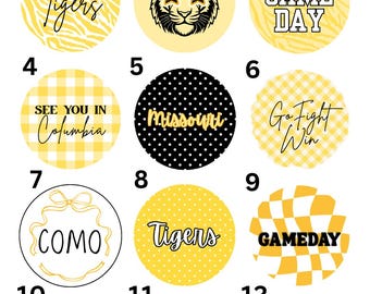 Missouri Button Pins