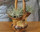 Brown Clay Handle Basket Made In Italy Hand Painted Air Plants Succulent Planter Container Rustic