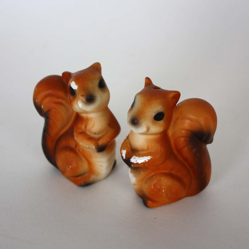 Vintage Squirrel Salt and Pepper Shaker Set Etsy