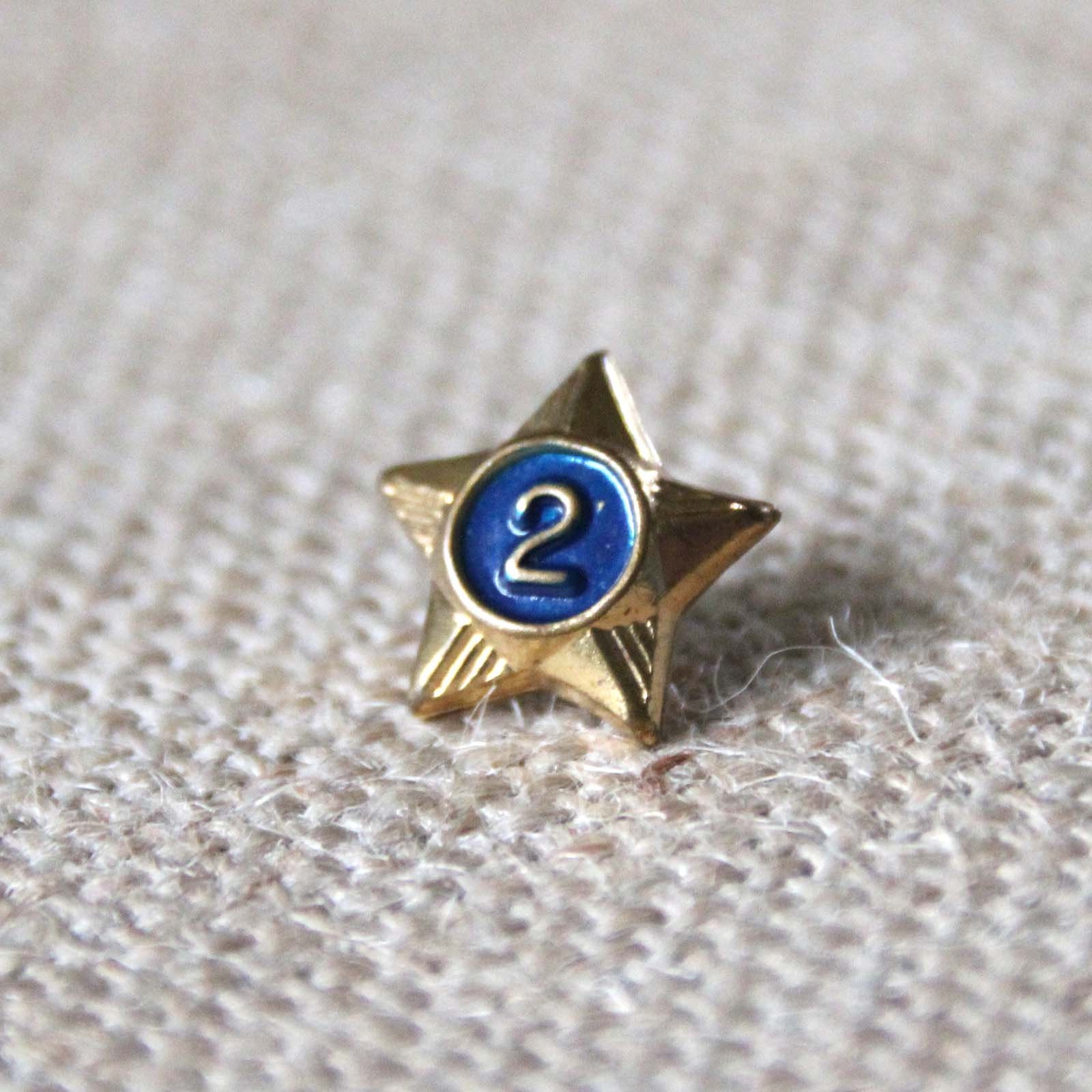 Boy Scouts 2 Year Service Star Pin - Uniform Pin
