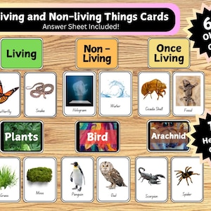 生物と無生物、動物の分類科学アクティビティカード