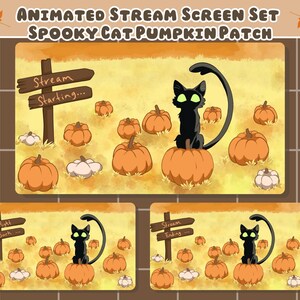May include: Animated stream screen set featuring a black cat with green eyes sitting on an orange pumpkin in a pumpkin patch. The set includes screens with text that reads "Stream Starting...", "Be Right Back...", and "Stream Ending...".