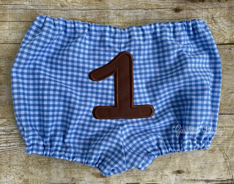 May include: Blue and white gingham baby bloomers with a brown felt number one appliqu&eacute;.