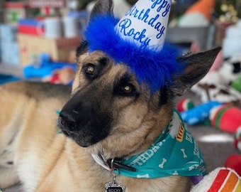 May include: A German Shepherd dog wearing a blue birthday hat with the text "Happy Birthday Rocky" and a turquoise bandana with the text "Happy Birthday" and a bone graphic. The dog is surrounded by colorful cupcake-shaped toys.