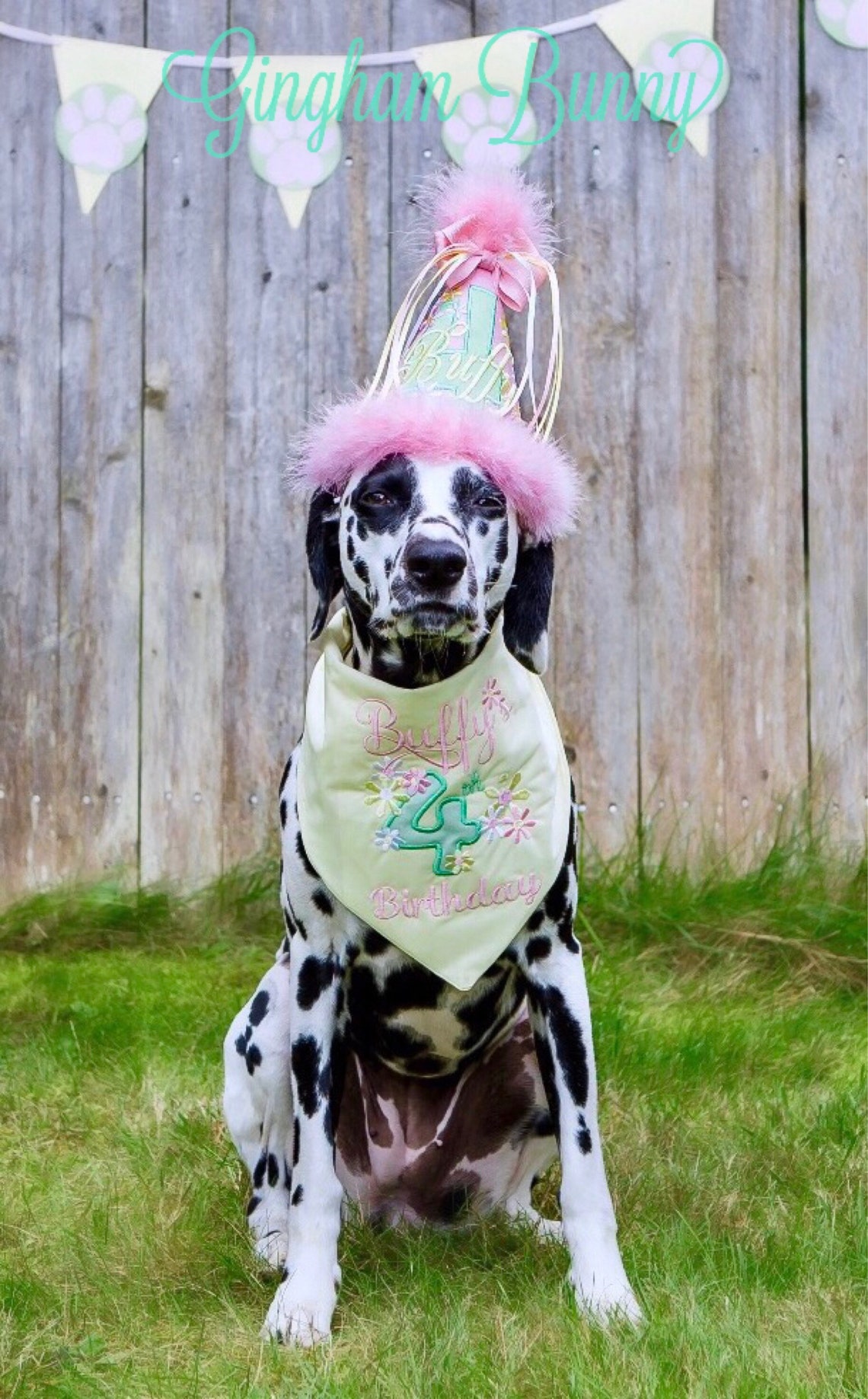Dog Birthday Hat Puppy Birthday Hat Doggie Birthday Hat Etsy